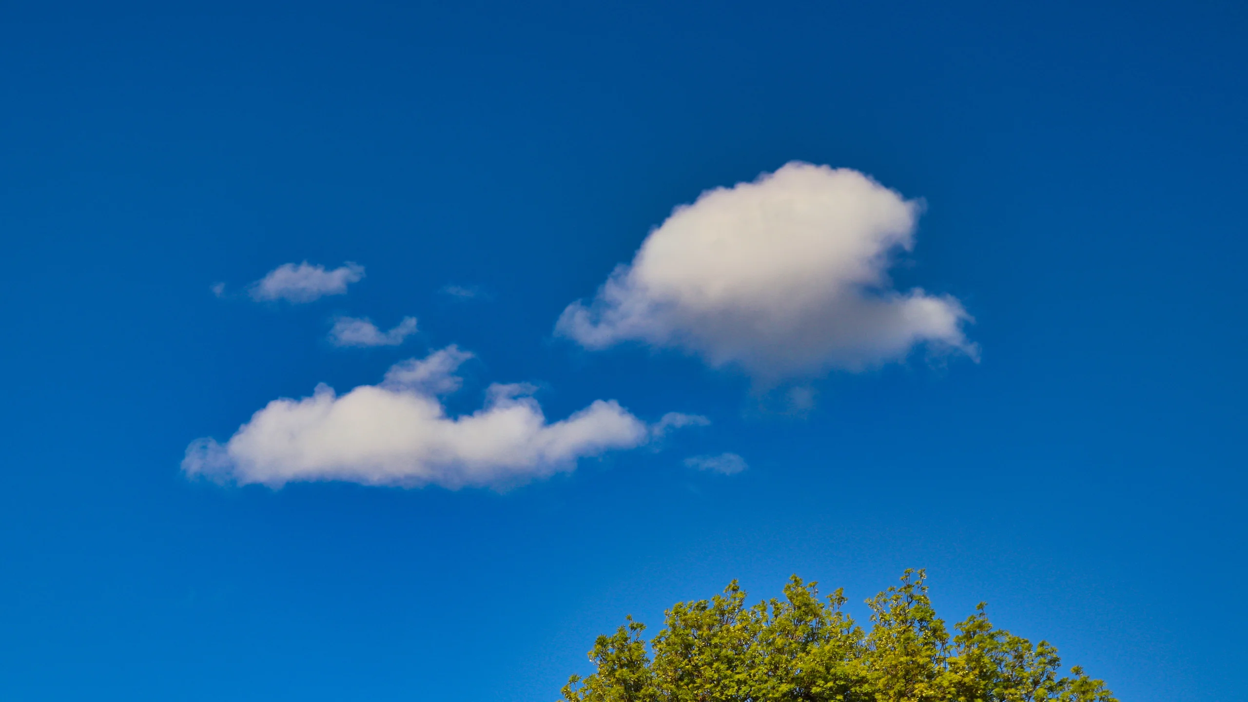Spring Skies